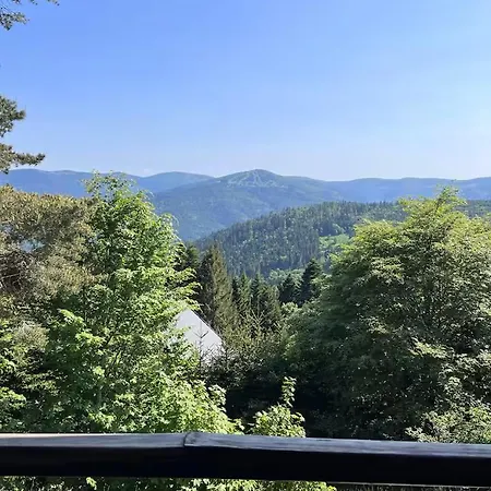 Vue Panoramique, Gaschney, Vosges, Colmar * Muhlbach-sur-Munster